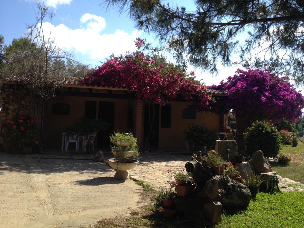Il Ruscello Villa SantʼAnna Arresi Rum bild